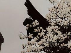-妈妈菜舟山海鲜(定海古城店)