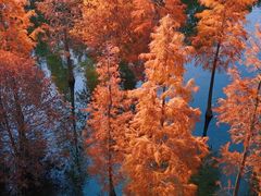 -白鹭湾湿地公园