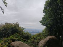-火炉山森林公园
