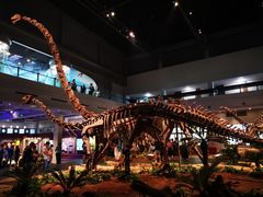 -自贡恐龙博物馆