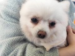 -怪兽屋·羊驼·猫咖·狗咖(俊华广场店)