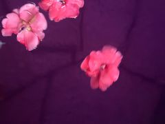-威海天沐度假区温泉