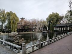 -新川办餐厅