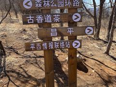 -妙峰山风景名胜区