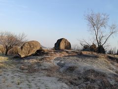 -白水寺森林公园