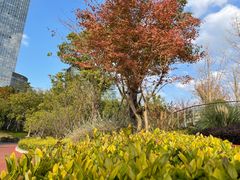 -北外滩滨江绿地