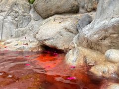 -湖泉半山温泉
