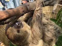 -杭州野生动物世界
