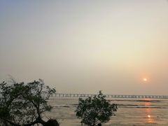 -宝安西湾红树林湿地公园