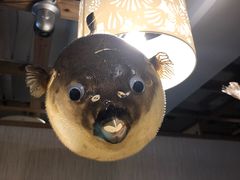 -玄品河豚(那覇國際通里之関)