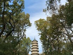 -灵谷景区