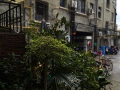 -大昌吉牛肉粉(林肯公寓店)