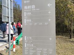 -南京市无想山景区