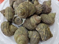 -枸杞岛