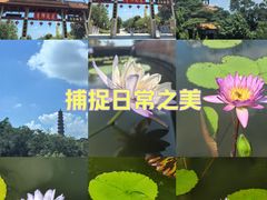 -广州莲花山旅游区
