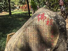 -独树成林