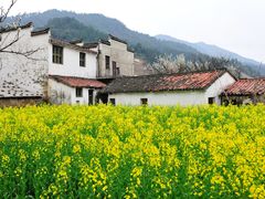 -上坦村