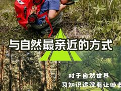 -铁山坪森林公园