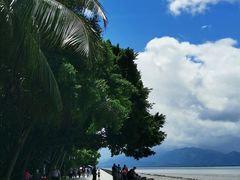 -深圳湾公园(南山区)