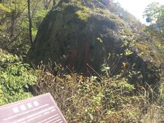 景点-朱雀国家森林公园