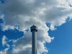 -帽儿山国家森林公园