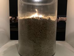 -侵华日军南京大屠杀遇难同胞纪念馆
