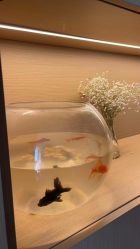 -汐月Health纤体spa中心