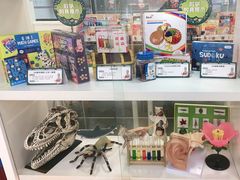 -斯坦星球AI编程·机器人科创·科学实验·信奥·思维·STEM·乐高·竞赛考级(长宁虹桥大融城荟聚中心)