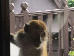 -绿中海度假村