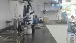 -派恩宜灰指甲鸡眼嵌甲手足癣