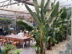 -桉树林A coffee 森林餐厅(三圣乡店)
