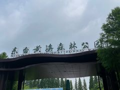 -黄海国家森林公园