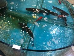 -屯靠屯地锅王(西南路店)