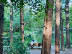 -上海共青森林公园