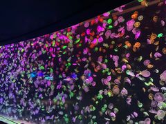-珠海长隆海洋王国