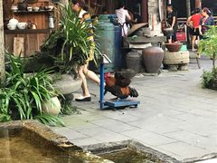 -青城甲(青城山店)