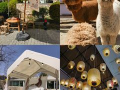 -禧宴Joyous Restaurant(禧园店)