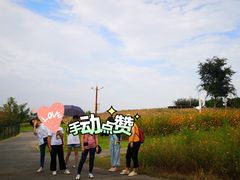 -白鹭湾湿地公园