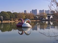 -昆山城市生态森林公园