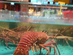 -阿伟海鲜楼·福建菜(延寿店)
