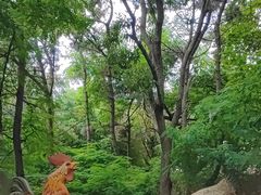 -燕窝岭