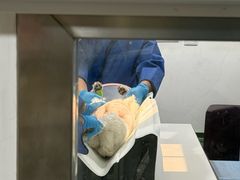 -申普宠物医院·心脏介入·心血管微创(总院)