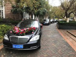 -蚂蚁婚车