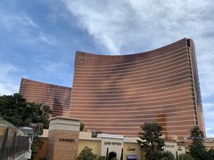 -拉斯维加斯永利酒店