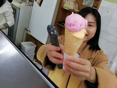 -成裕雪糕店(士多店)