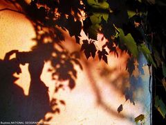 -赛百味(仙林金鹰店)