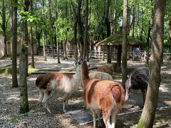 -昆山城市生态森林公园