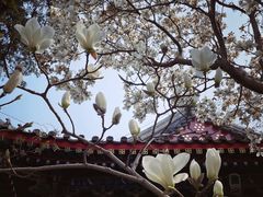 -北京艺术博物馆(万寿寺)
