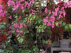 -田园印象·成都土菜院子(华阳店)