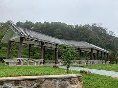 -广州市石门国家森林公园